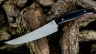 Нож ФИЛЕЙНЫЙ МАЛЫЙ №2, N690, G10